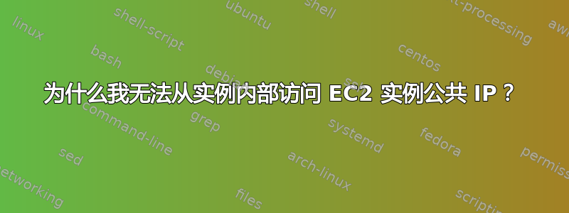 为什么我无法从实例内部访问 EC2 实例公共 IP？