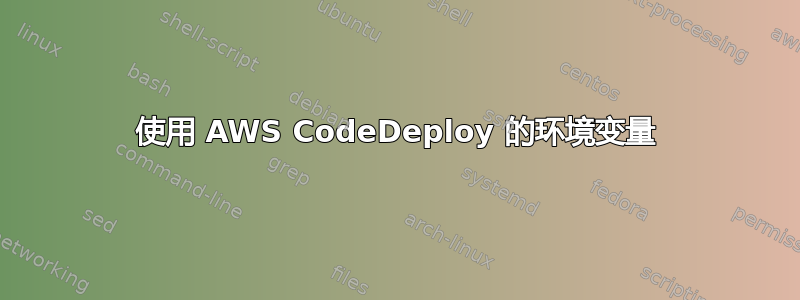 使用 AWS CodeDeploy 的环境变量