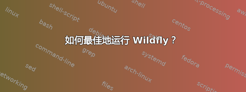 如何最佳地运行 Wildfly？