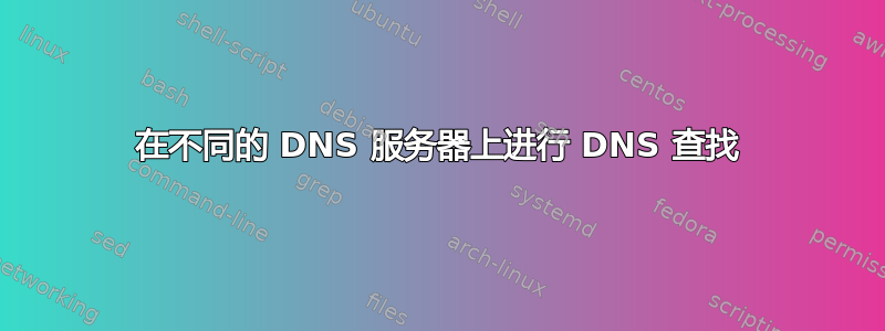 在不同的 DNS 服务器上进行 DNS 查找