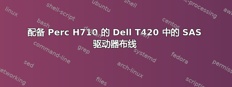 配备 Perc H710 的 Dell T420 中的 SAS 驱动器布线