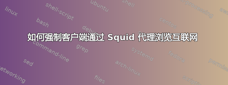 如何强制客户端通过 Squid 代理浏览互联网