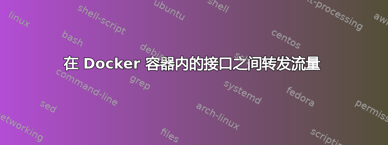 在 Docker 容器内的接口之间转发流量