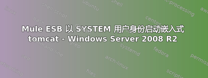 Mule ESB 以 SYSTEM 用户身份启动嵌入式 tomcat - Windows Server 2008 R2