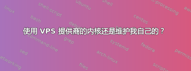 使用 VPS 提供商的内核还是维护我自己的？