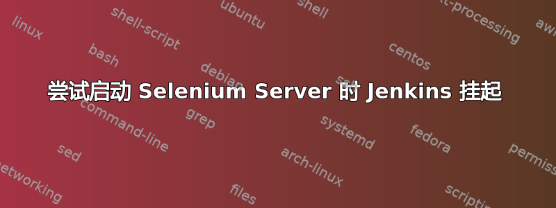 尝试启动 Selenium Server 时 Jenkins 挂起