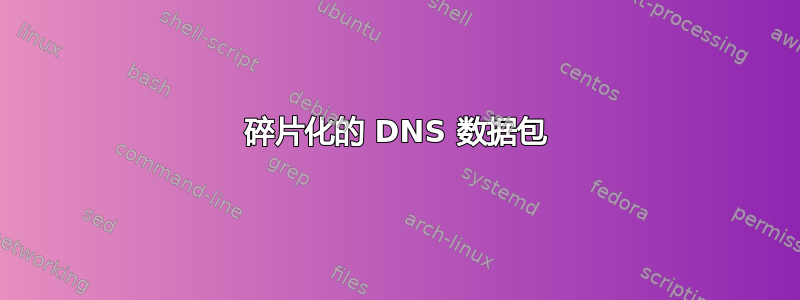 碎片化的 DNS 数据包