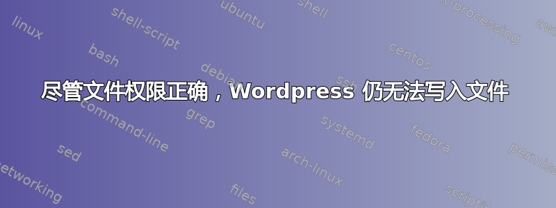 尽管文件权限正确，Wordpress 仍无法写入文件