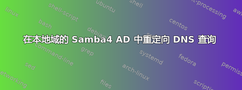 在本地域的 Samba4 AD 中重定向 DNS 查询