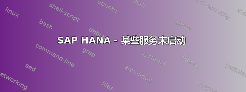 SAP HANA - 某些服务未启动