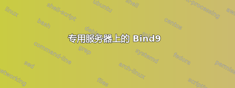 专用服务器上的 Bind9 