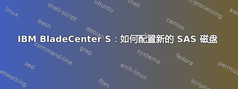 IBM BladeCenter S：如何配置新的 SAS 磁盘