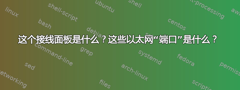 这个接线面板是什么？这些以太网“端口”是什么？