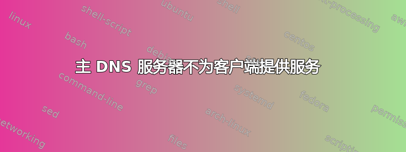 主 DNS 服务器不为客户端提供服务 