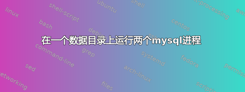 在一个数据目录上运行两个mysql进程