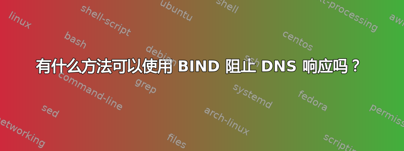 有什么方法可以使用 BIND 阻止 DNS 响应吗？