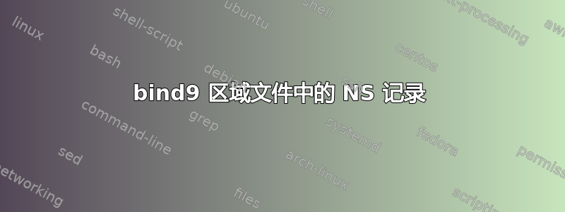 bind9 区域文件中的 NS 记录