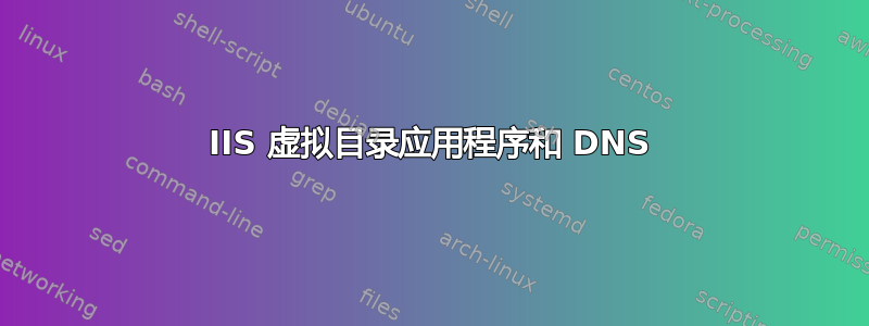 IIS 虚拟目录应用程序和 DNS