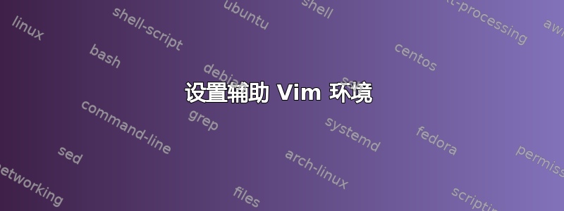 设置辅助 Vim 环境