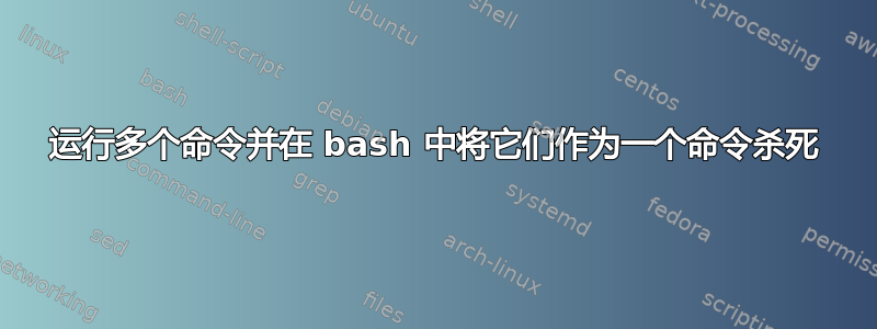 运行多个命令并在 bash 中将它们作为一个命令杀死