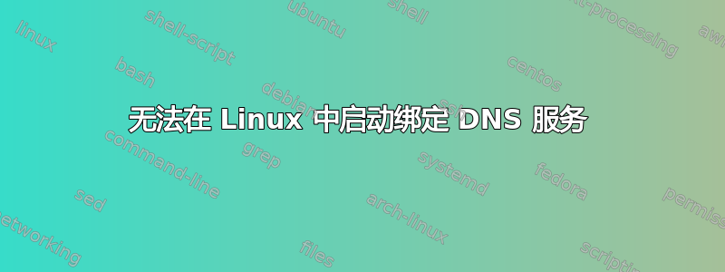 无法在 Linux 中启动绑定 DNS 服务