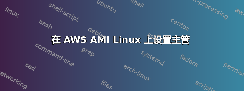 在 AWS AMI Linux 上设置主管