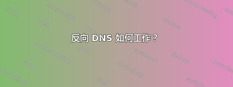 反向 DNS 如何工作？