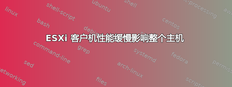 ESXi 客户机性能缓慢影响整个主机