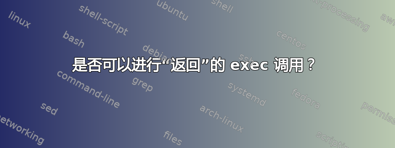 是否可以进行“返回”的 exec 调用？