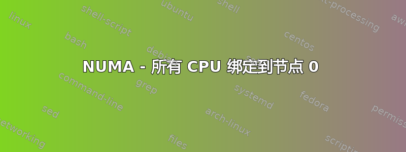 NUMA - 所有 CPU 绑定到节点 0