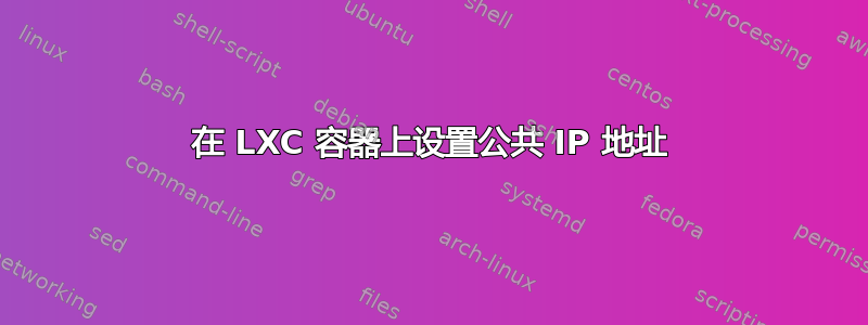 在 LXC 容器上设置公共 IP 地址