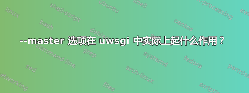 --master 选项在 uwsgi 中实际上起什么作用？