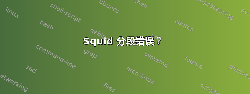 Squid 分段错误？