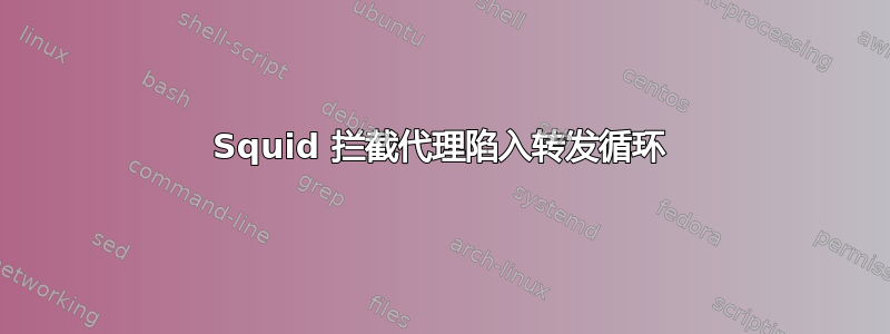 Squid 拦截代理陷入转发循环