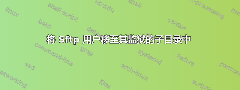 将 Sftp 用户移至其监狱的子目录中