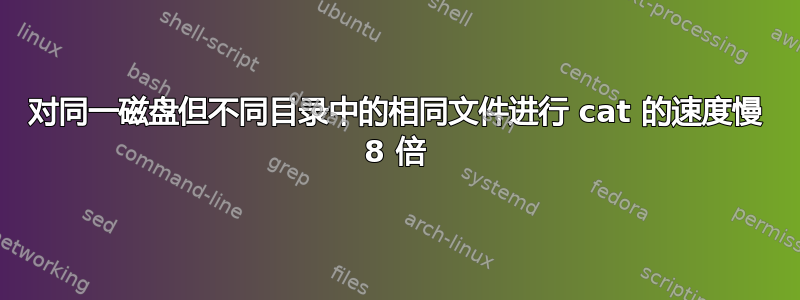 对同一磁盘但不同目录中的相同文件进行 cat 的速度慢 8 倍