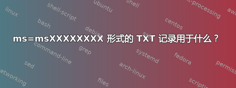 ms=msXXXXXXXX 形式的 TXT 记录用于什么？