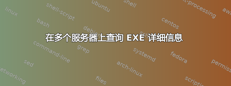 在多个服务器上查询 EXE 详细信息