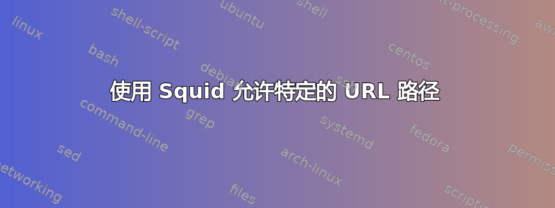 使用 Squid 允许特定的 URL 路径