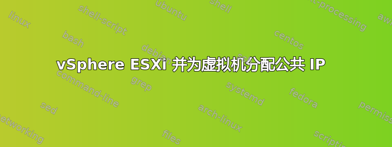 vSphere ESXi 并为虚拟机分配公共 IP 