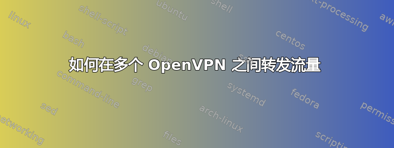 如何在多个 OpenVPN 之间转发流量