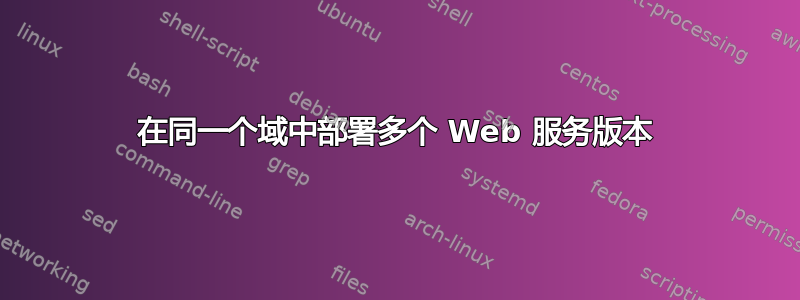 在同一个域中部署多个 Web 服务版本