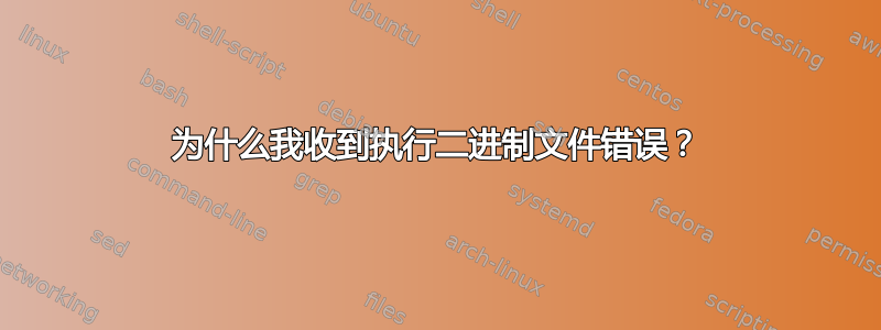 为什么我收到执行二进制文件错误？