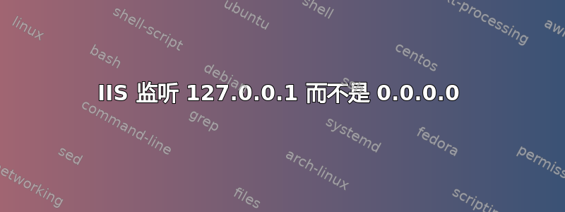 IIS 监听 127.0.0.1 而不是 0.0.0.0