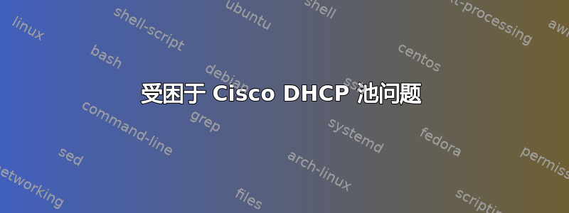 受困于 Cisco DHCP 池问题