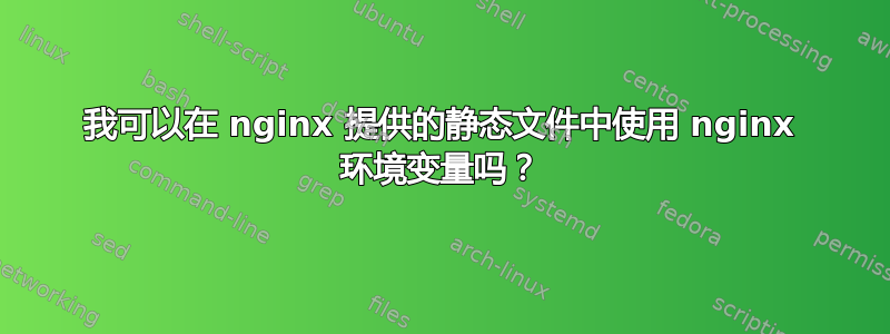 我可以在 nginx 提供的静态文件中使用 nginx 环境变量吗？