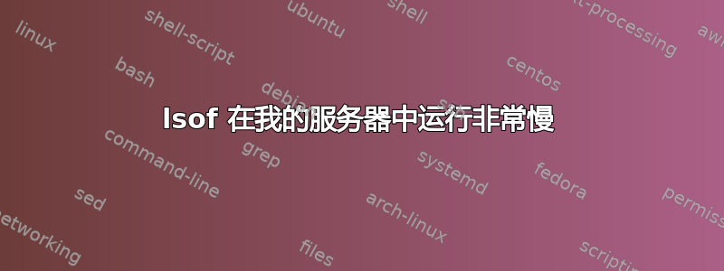 lsof 在我的服务器中运行非常慢