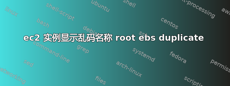 ec2 实例显示乱码名称 root ebs duplicate