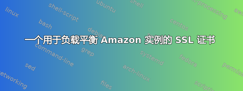 一个用于负载平衡 Amazon 实例的 SSL 证书