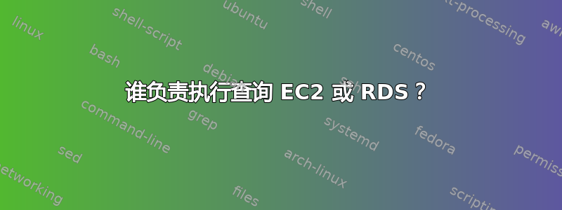 谁负责执行查询 EC2 或 RDS？